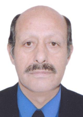 Imagen de perfil de Hector Valer Pinto